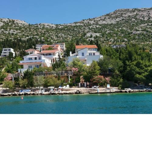 Adria Paradies