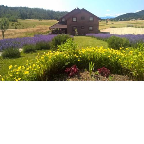 Agrotourism Japodi