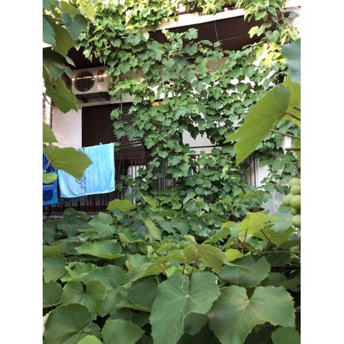 Andrije Kršula 51 Apartman