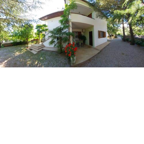 ANTE Accommodation