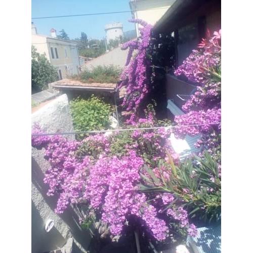 Apartman i Sobe Čule Cres
