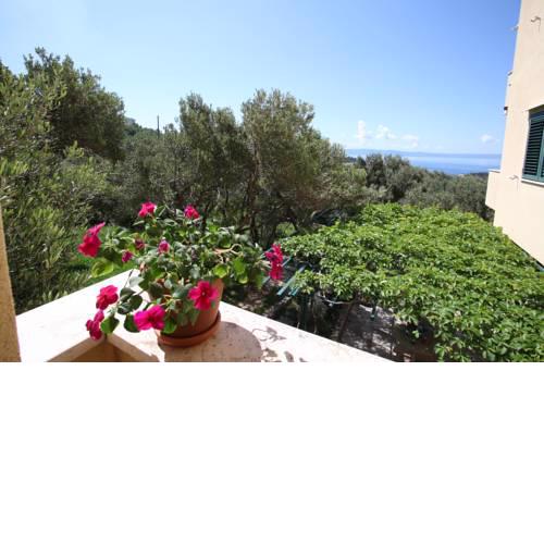 Apartman Jele