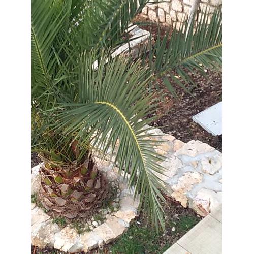 Apartman Klancir Mandre
