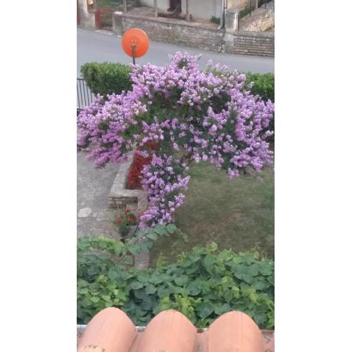 Apartman Mansarda