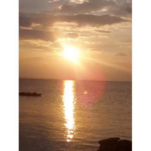 Apartman Marija Privlaka