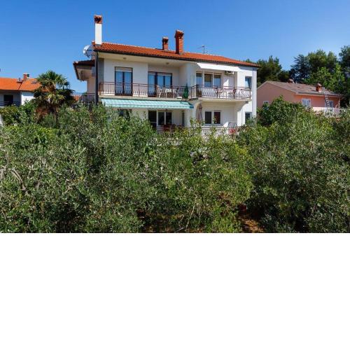 Apartmani Andrea