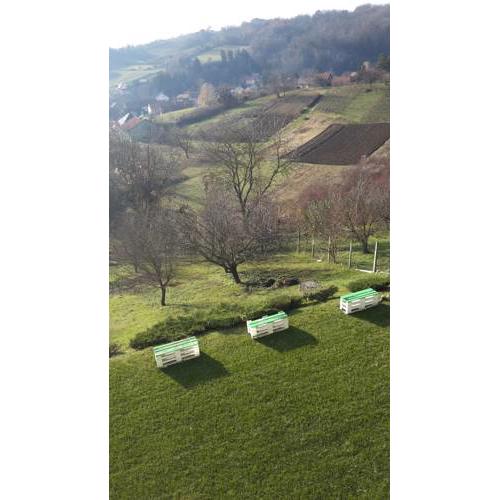 APARTMANI DA-DENT