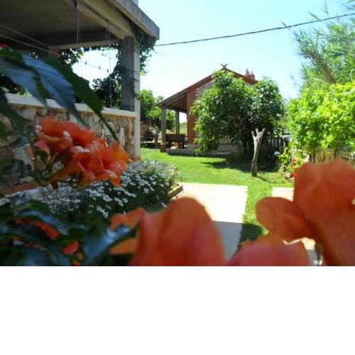 Apartmani Delfin