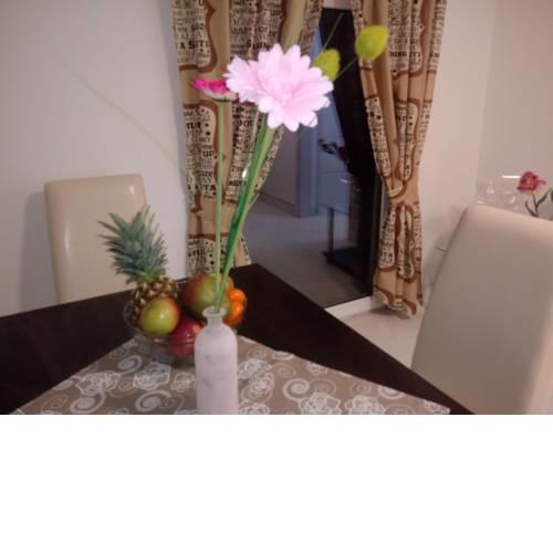 Apartmani Fran