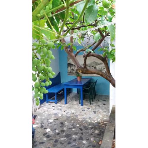 Apartmani Jadran