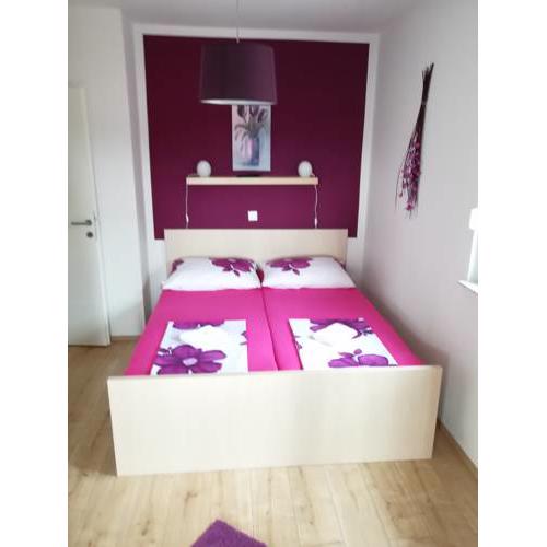 Apartmani Okrug