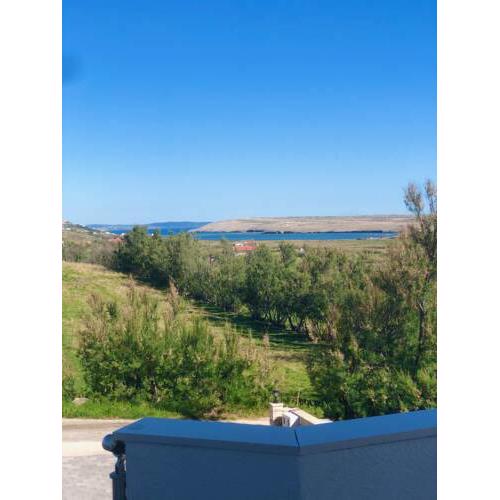 Apartmani Opg Dragoslavić