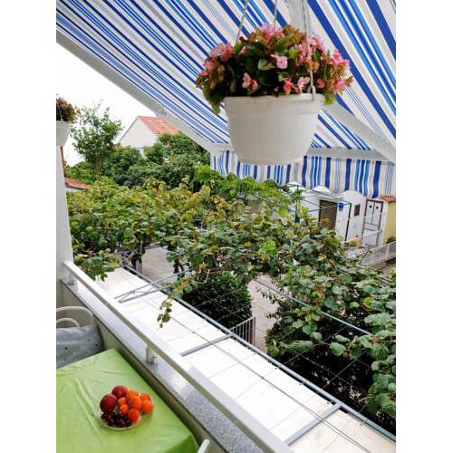 Apartmani podaca
