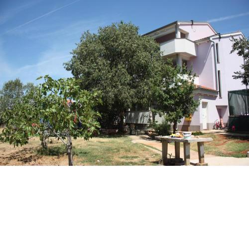 Apartmani Tara i Nika