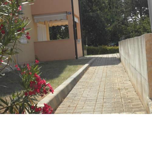 Apartment Alba