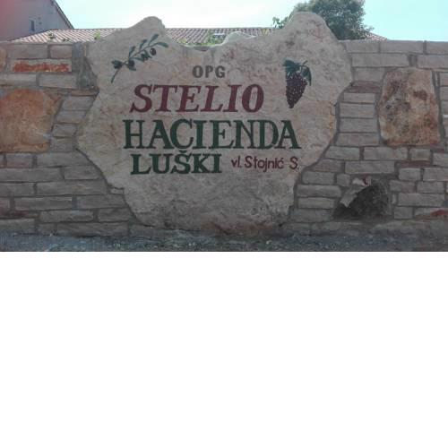 Apartment and Rooms Hacienda Stelio