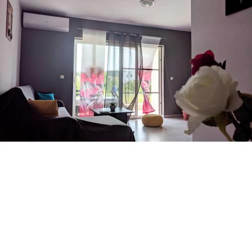 Apartment Anton