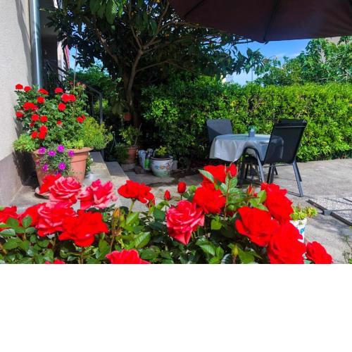 Apartment Ava - Large Terrace