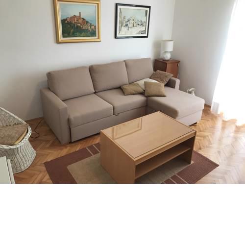 Apartment Branka