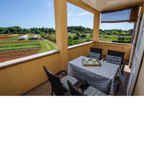 Apartment Concetta