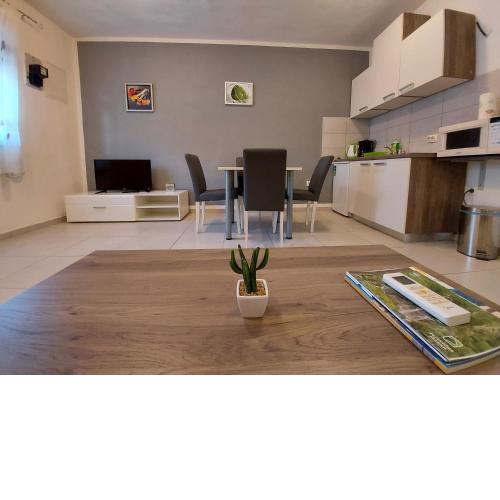 Apartment Ema