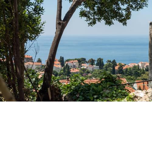 Apartment Faros