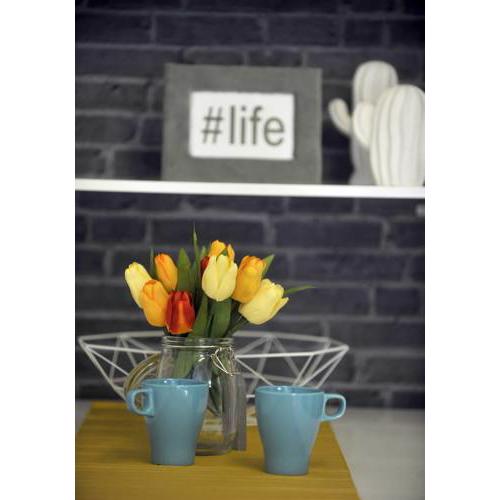 Apartment Flumen- Rijeka Centar