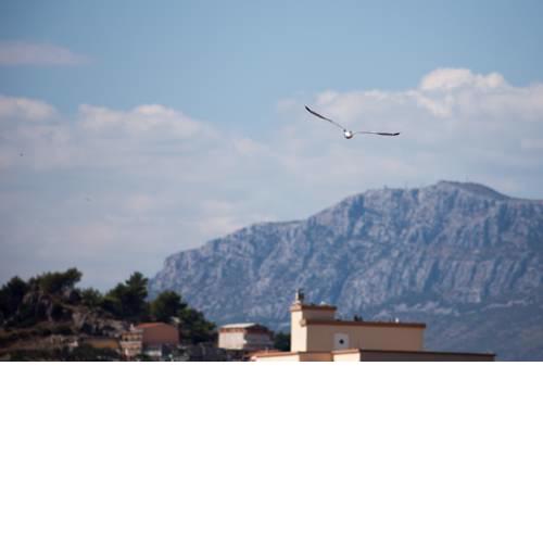 Apartment Galeb