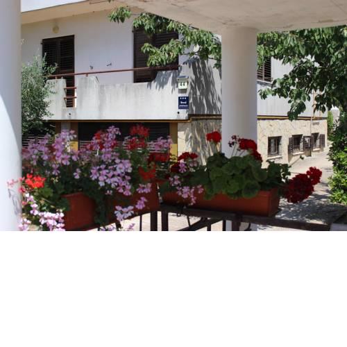 Apartment Goga