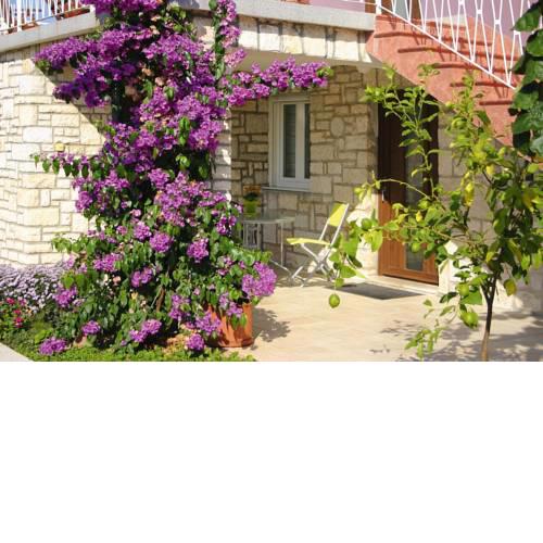 Apartment Grubisic Rovinj - CIS01173-CYB