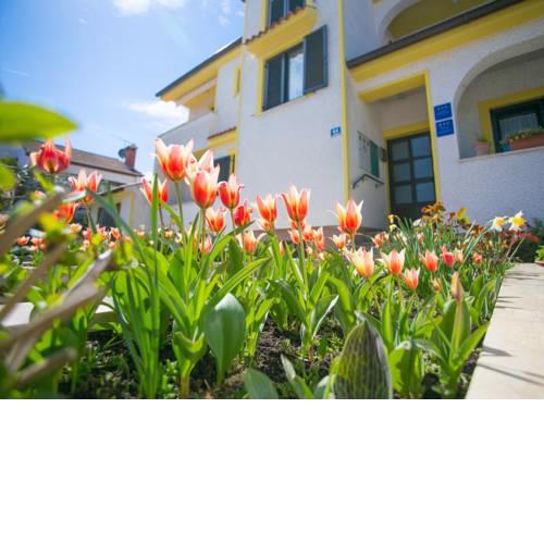 Apartment House Matosevic