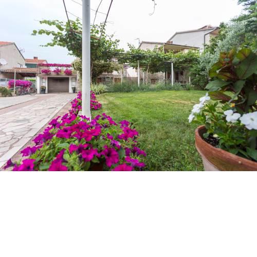 Apartment in Fazana/Istrien 33038
