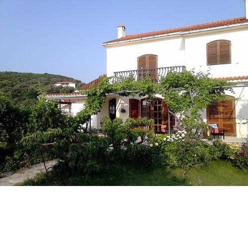 Apartment in Kampor/Insel Rab 36361