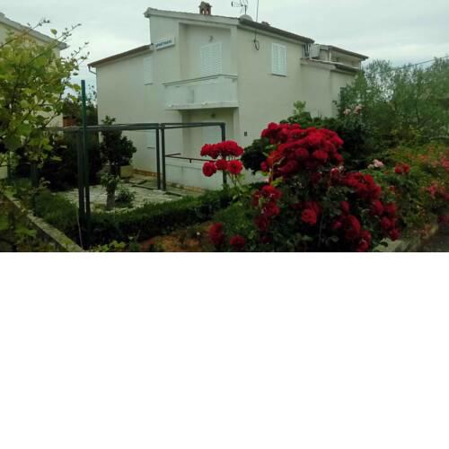 Apartment in Kukljica - Insel Ugljan 38784