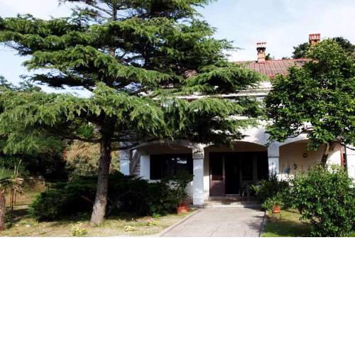 Apartment in Lopar - Insel Rab 39572