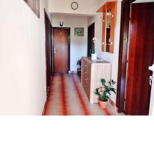 Apartment in Starigrad-Paklenica 41713