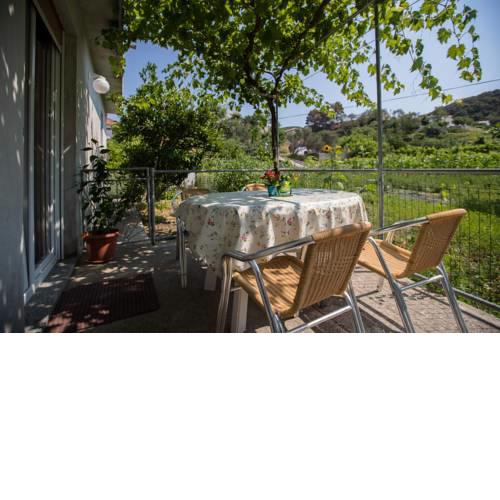 Apartment in Supetarska Draga 16065