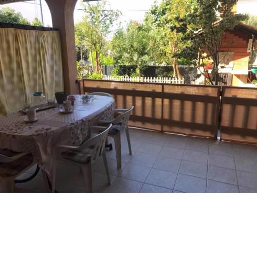 Apartment in Sveti Filip i Jakov with Terrace, Air conditioning, Wi-Fi (4811-3)