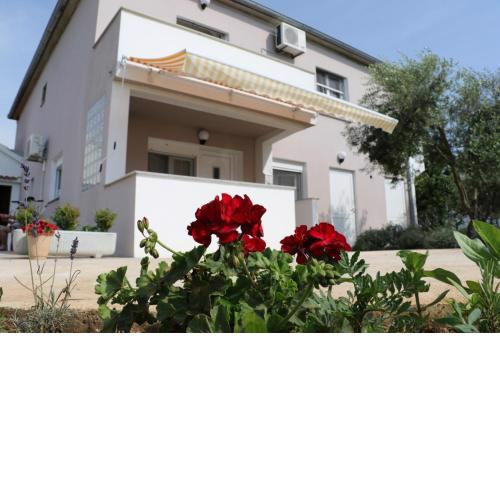 Apartment in Zaton Zadar with terrace, air conditioning, WiFi, washing machine 4830-4