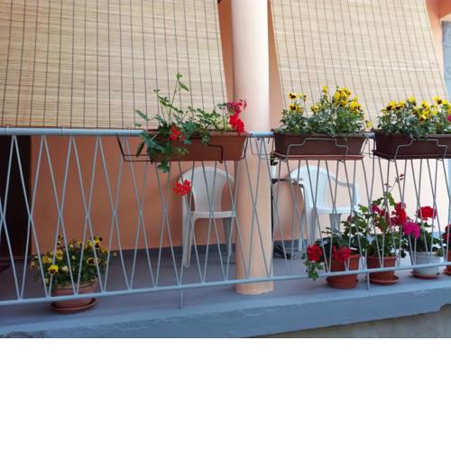 Apartment Iva Zadar