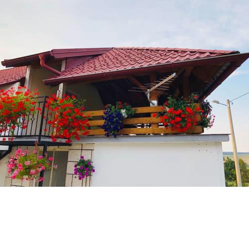 Apartment Jakovljević