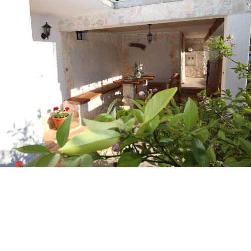 Apartment Lacerta