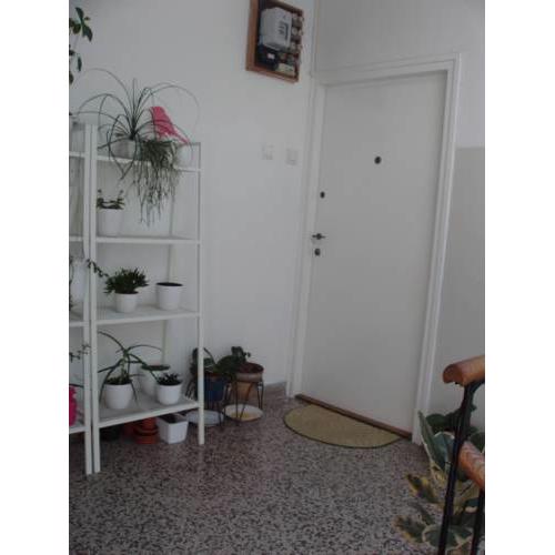 Apartment Lavanda