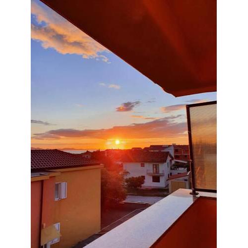 Apartment Mate4