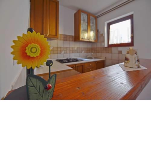 Apartment Mediteraneo