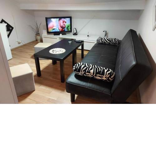 Apartment Milena - Ždrelac/Pašman/Zadar