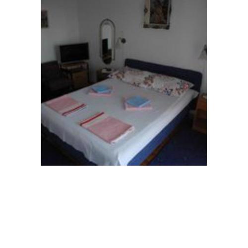 Apartment Milica 41 pax