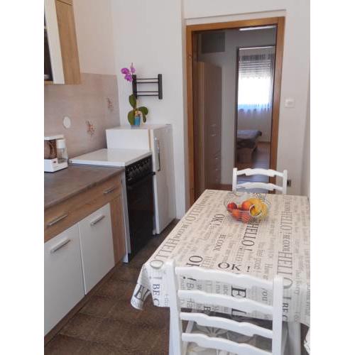 Apartment Milja Vrcevan