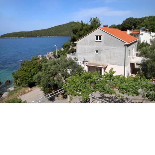 Apartment Molunat 8956b