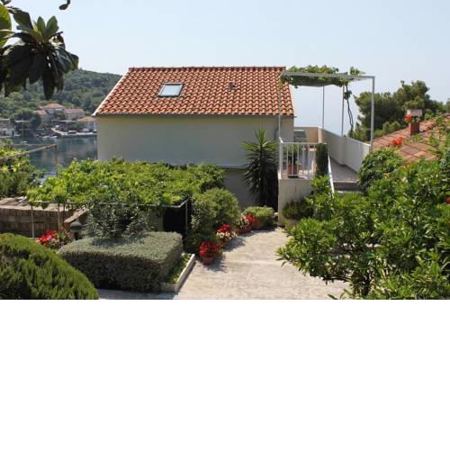 Apartment Molunat 9102b
